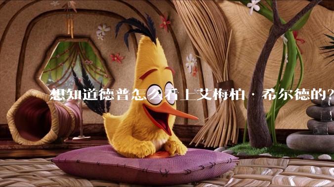 想知道德普怎么看上艾梅柏·希尔德的？