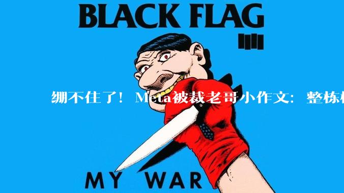 绷不住了！Meta被裁老哥小作文：整栋楼都在讲普通话_中国_工作_吐槽