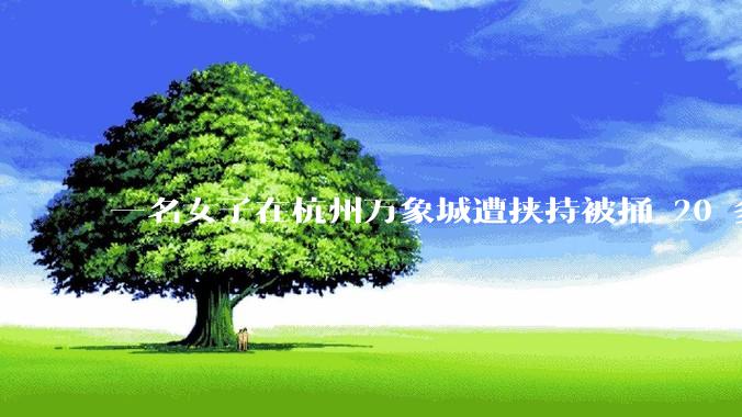 一名女子在杭州万象城遭挟持被捅 20 多刀，隆胸***体救了一命，这反映出哪些公安系统的问题？